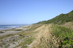 砂浜、砂丘、海食崖が延々と続く表浜海岸