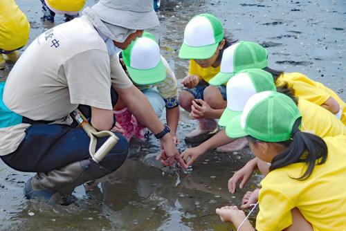 荒尾干潟で生物調査をする鹿島市の子供たち