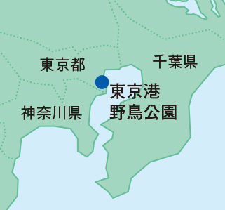 東京港野鳥公園地図