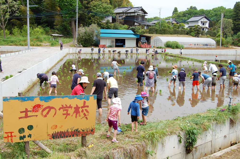 tsuchinogakko.jpg