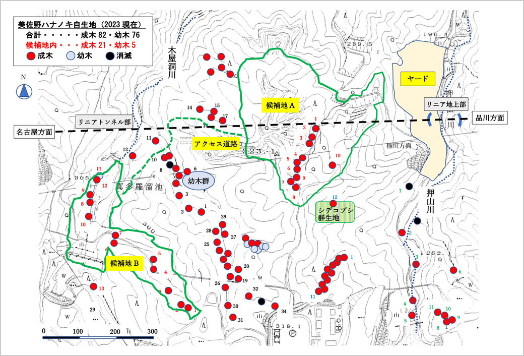 美佐野ハナノキ自生地の概略図